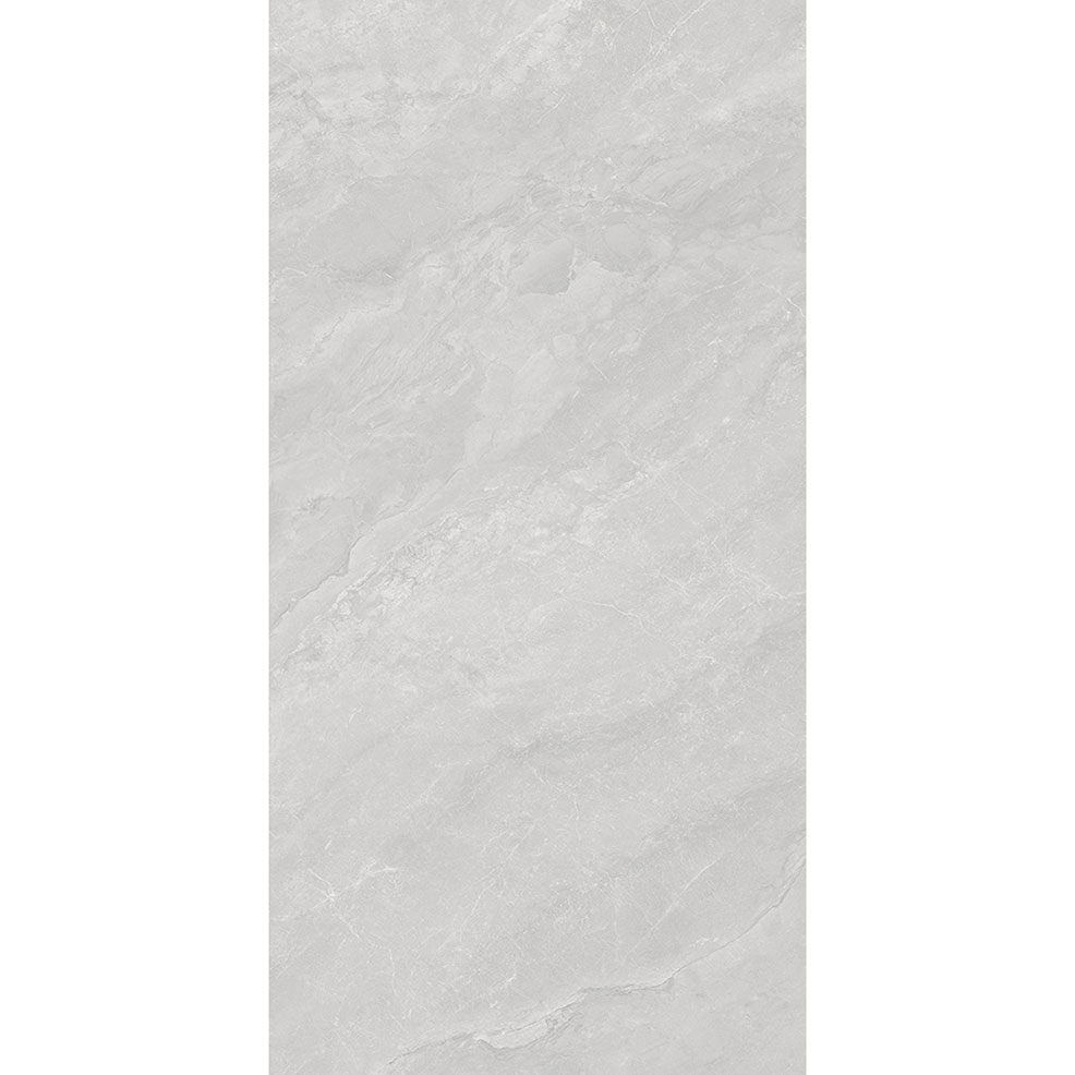 SW61269T 银河灰（浅）